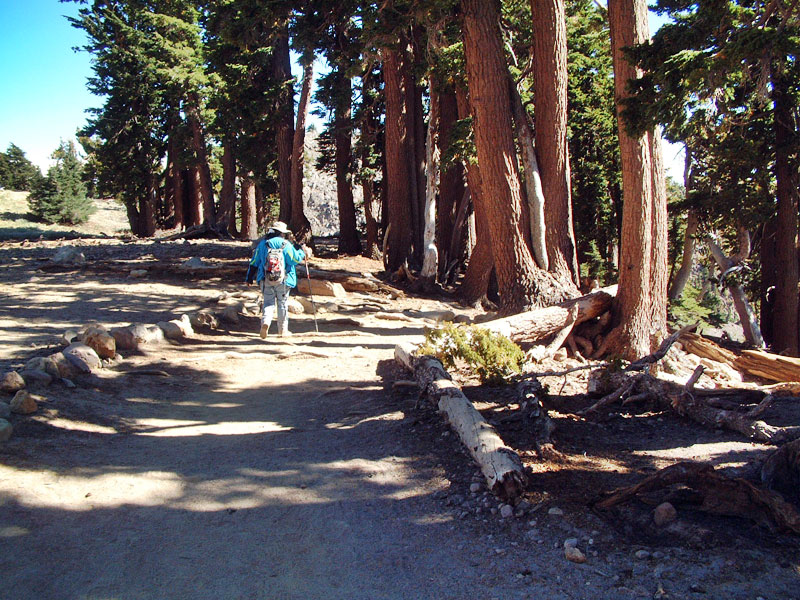 ca07_496.jpg